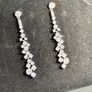 Earrings Image 7