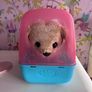 Toy Dog (baby Annabel) Image 2