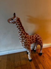 Large giraffe