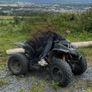 quadzilla Image 2