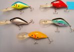 Medium Diving Crankbait