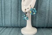 SNK Earrings - Crystal