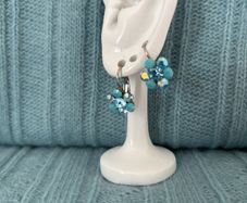SNK Earrings - Crystal
