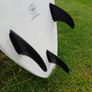 Surf Board Image 5