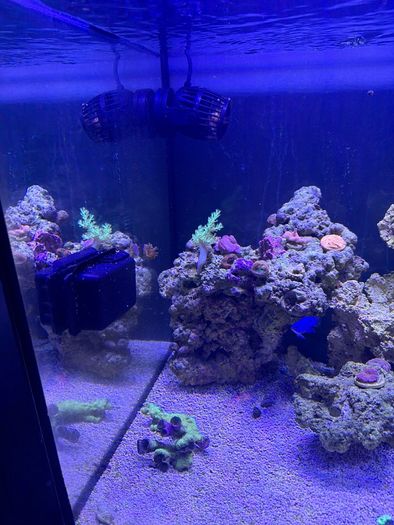 AquaOne ReefSys 325 Marine tank for sale