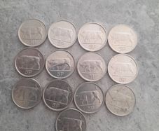 13 x Irish 5p coins see add for years