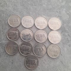 13 x Irish 5p coins see add for years