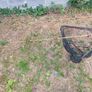Complete fishing kit Carp/pike/tench/bream 10ft3m Image 8