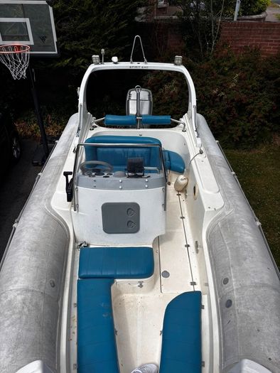 rib