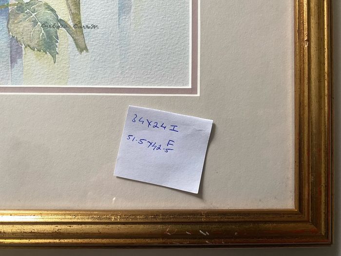 Original Watercolor Painting by Barbara Barrett in a gold frame
