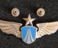 Chinese airforce badge.