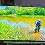 Sony Oled 4k Tv 55" Sony KD-55af8 Image 2