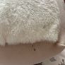 Squishmallow otter teddy Image 3
