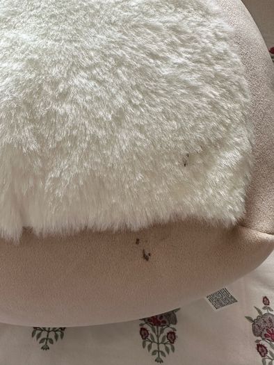 Squishmallow otter teddy