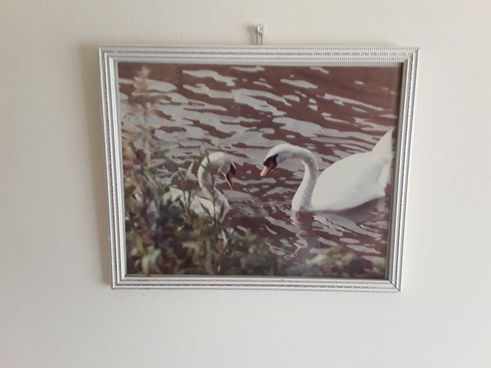 small picture