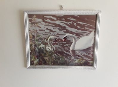 small picture