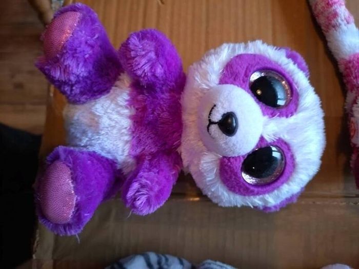 TY teddies collection