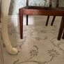 Pair of Antique Regency Child Chairs Image 4
