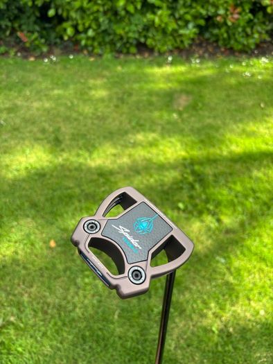 Taylormade spider tour x