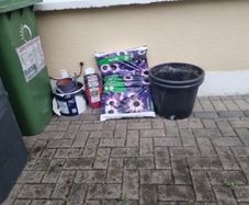 plant pot