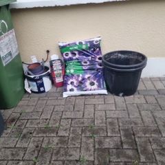 plant pot