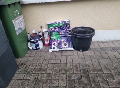 plant pot