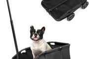 Mini Dog Strollers for Mini Pets, Foldable Multifunctional Shopping Carts with Extendable Pull Handle, Doggie Wagon Built-in Cushion and Safety Rope with Storage Bag (Black)