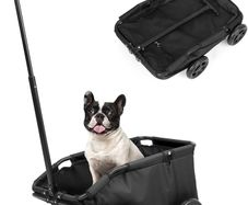 Mini Dog Strollers for Mini Pets, Foldable Multifunctional Shopping Carts with Extendable Pull Handle, Doggie Wagon Built-in Cushion and Safety Rope with Storage Bag (Black)