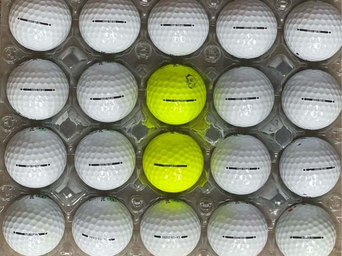 20 used Seed 01 and X1 golf balls