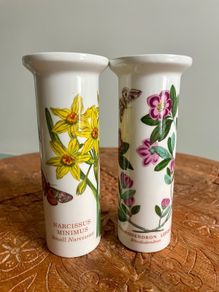 Pair of Portmeirion Vases