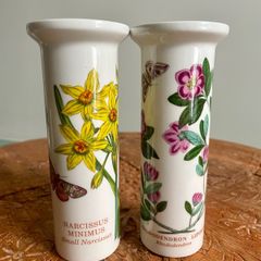 Pair of Portmeirion Vases