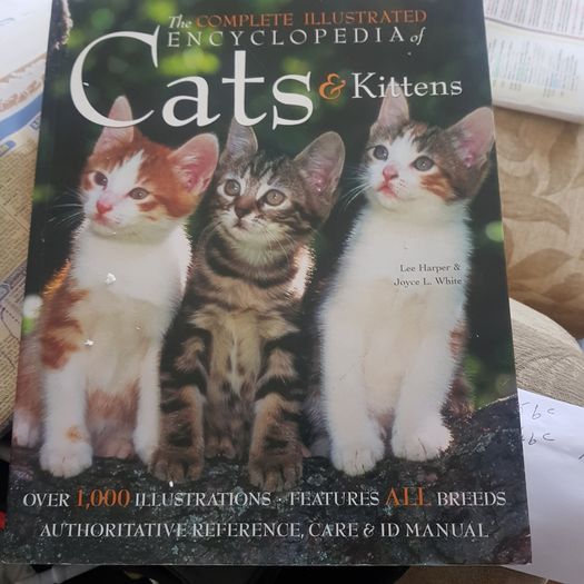 The Complete Illustrated Encyclopedia Of Catsc & Kittens