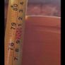Display Fridge Image 4