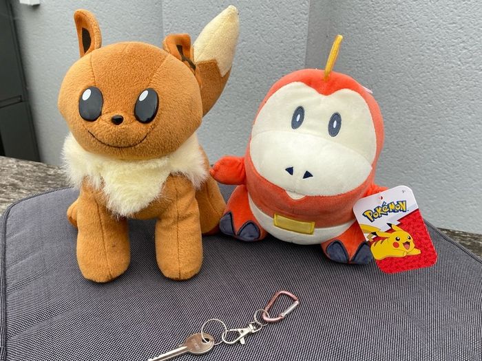 Two Pokemon plush - NEW Fuecoco & Eevee