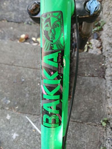 Boys bike