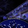 720 LED 9m/29ft Cluster Christmas Tree Lights for Indoor & Outdoor Blue & Cool White Decorations Fairy Lights with Timer for Xmas Garden & Party | Mains Powered Green Cable Image 4
