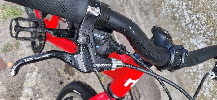 Ridgeback bike