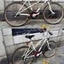 adult  bike Image 3
