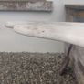Vintage marble table top, moulded, half moon shape Image 6
