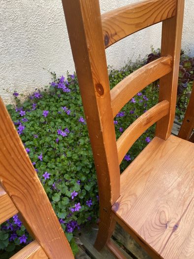 Dining Chairs