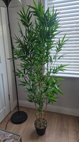 fake plant