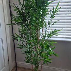 fake plant