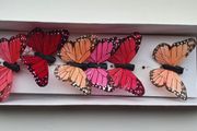 New - 6 Beautiful Decorative Butterflies - Cake / Craft - Read Carefully