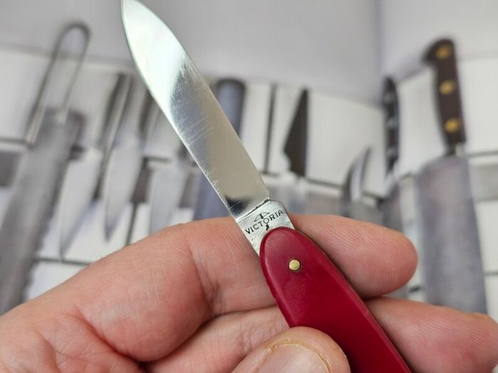 Vintage 1950s Victoria Victorinox Swiss Army Knife with Bail Retired 84mm model Collectable