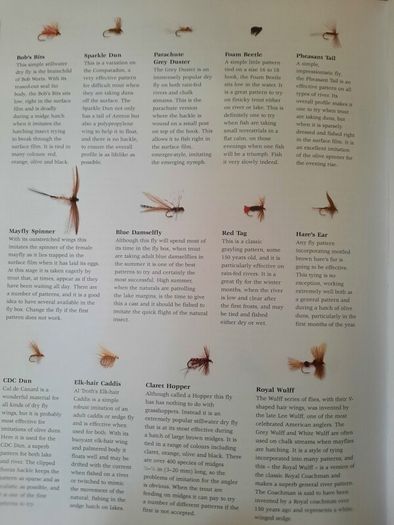 The Complete Guide to Fishing