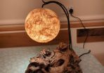 Bog wood lamp