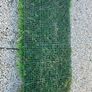 Artificial Wall Grass Image 3