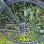 bike Image 3
