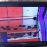 32inch Television Image 2