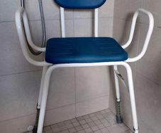 Adjustable shower seat